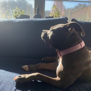 Meet your Posher, Jeff